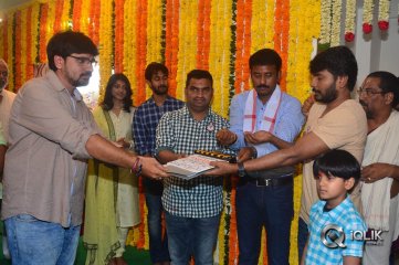 Paper Boy Movie Opening